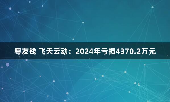 粤友钱 飞天云动：2024年亏损4370.2万元