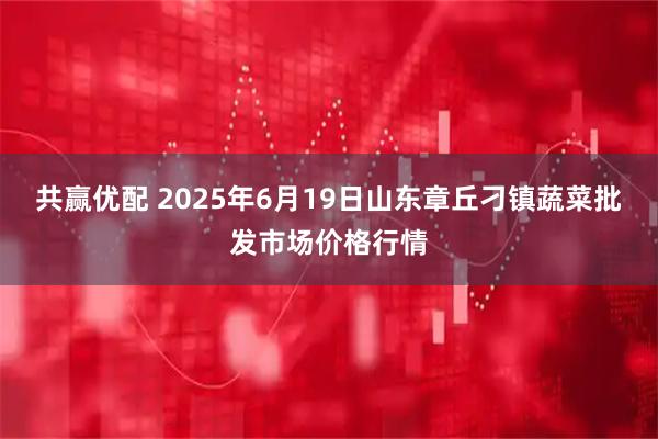 共赢优配 2025年6月19日山东章丘刁镇蔬菜批发市场价格行情