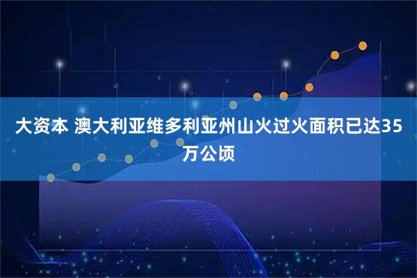 大资本 澳大利亚维多利亚州山火过火面积已达35万公顷