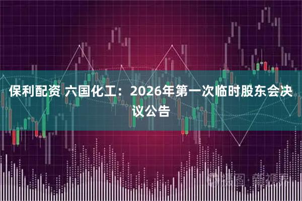 保利配资 六国化工：2026年第一次临时股东会决议公告