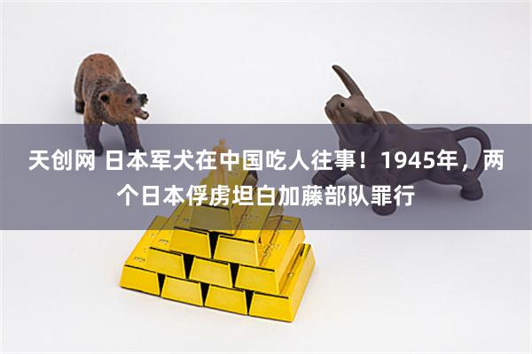 天创网 日本军犬在中国吃人往事!1945年,两个日本俘虏坦白加藤部队罪行